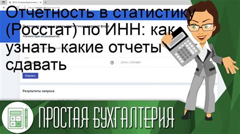 Отчет в статистику по ИНН: для кого и почему важно