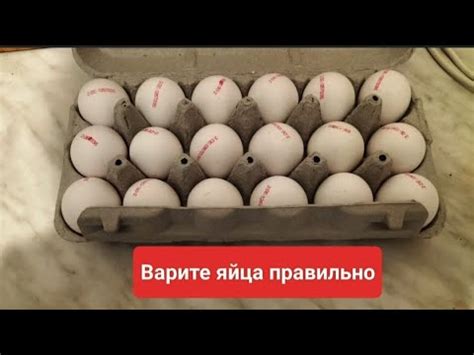 От чего зависит накипь в яйцеварке