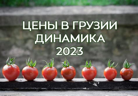 Официальный статус рубля в Грузии в 2023 году