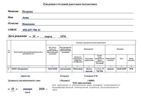 Оформление электронной трудовой книжки