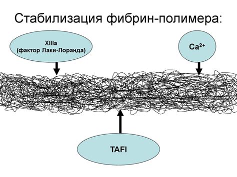 Охлаждение и стабилизация полимера