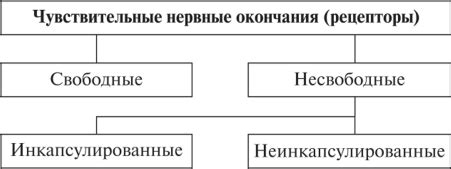 Охлаждение нервных окончаний