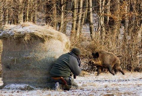 Охота в городе: особенности и правила