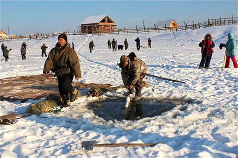 Охота и перерыв в промышленных кормовых цепях