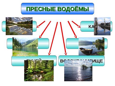 Охрана водоемов и рек - уроковое повествование для 3 класса