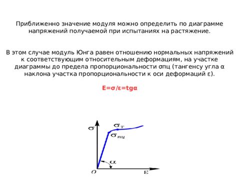 Оцените степень упругости