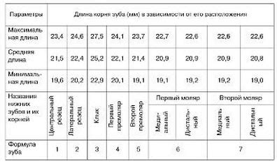 Оценка внешнего вида бицепсов для определения длины