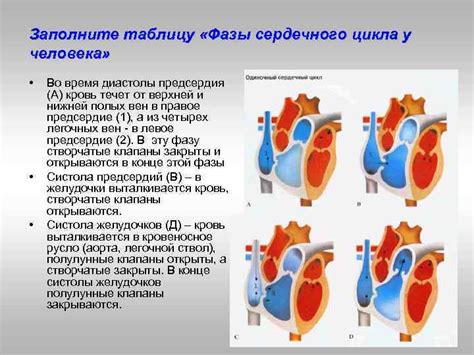 Оценка сердечной системы