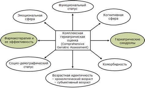 Оценка состояния пожилого человека и его потребностей