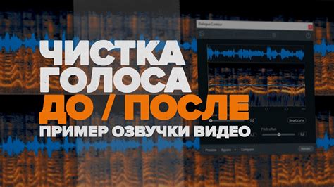 Очистка голоса от шумов: почему это важно?