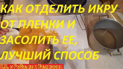 Очистка желудков от пленки