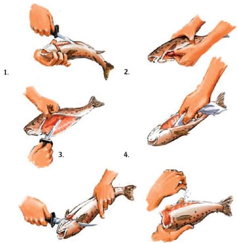 Очистка и разделка рыбы