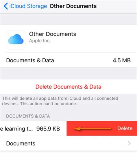 Очистка iCloud Drive