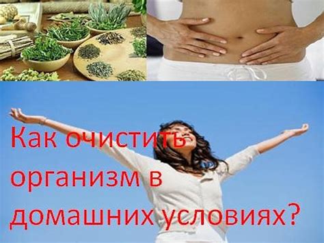 Очищение организма от токсинов и продуктов обмена