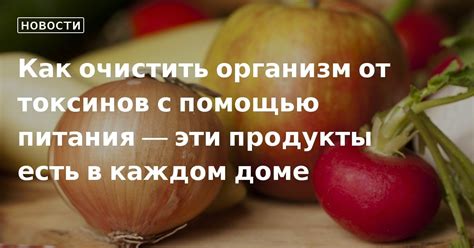 Очищение от токсинов с помощью питания