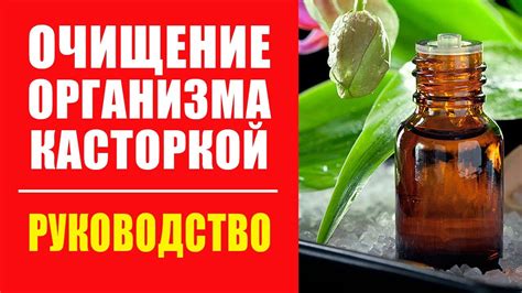 Очищение офюльса: эффективные методы безопасной очистки