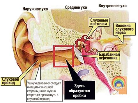 Очищение ушей у детей: особенности и правила безопасности