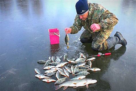 Ошибка в содержании аквариума, приводящая к белой воде