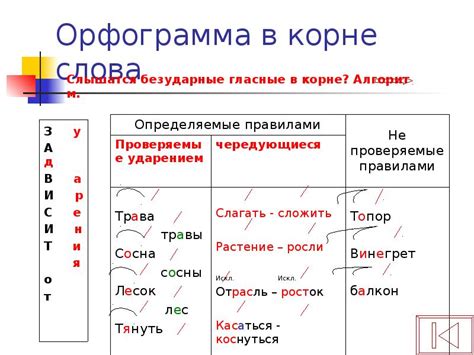 Ошибки, связанные с орфограммами