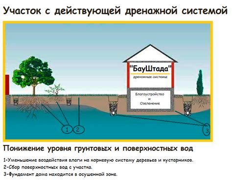 Ошибки в системе дренажа: как проверить и исправить