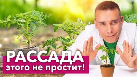 Ошибки при выращивании