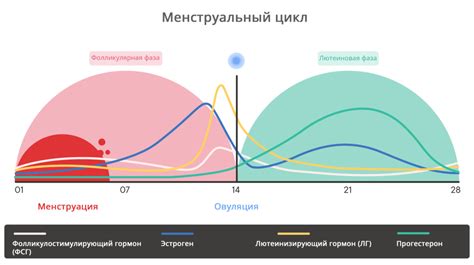 ПМС и понос: причины, лечение, советы