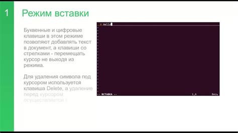 Пакетный режим в Vim