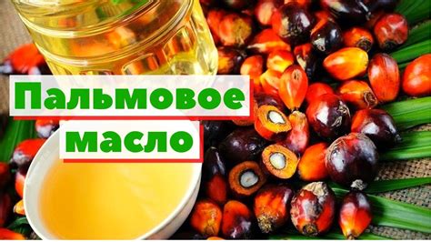 Пальмовое масло и раковые заболевания