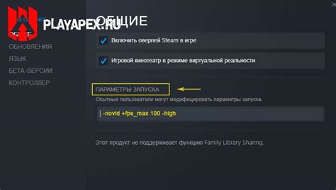 Параметры запуска Steam