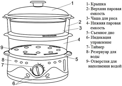 Пароварка: преимущества и рекомендации