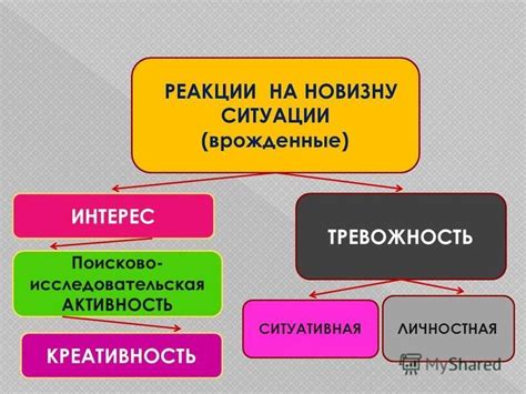 Пассивный интерес и исследовательская активность: