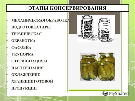 Пастеризация и хранение сыворотки