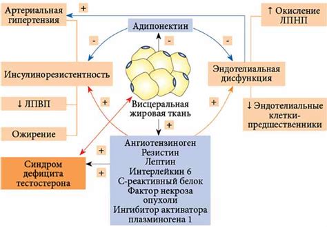 Патологии и расстройства связанные с жировой тканью