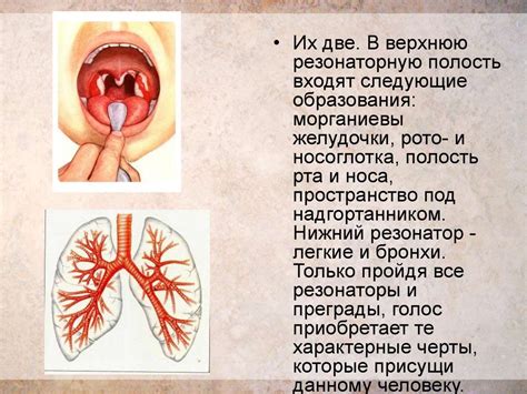 Патологии органов ротовой полости