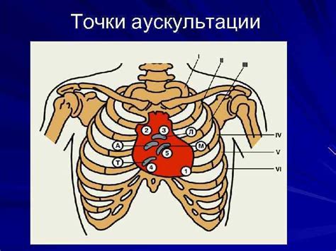 Патологии сердца