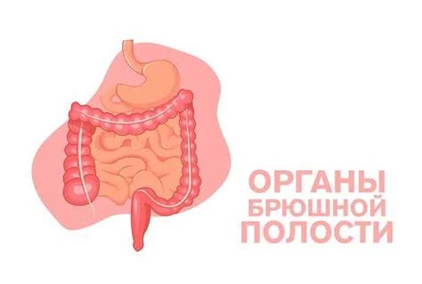 Патологические причины бурления в животе