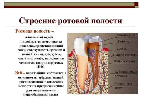 Патологические состояния и их связь с ощущением жжения в области щек