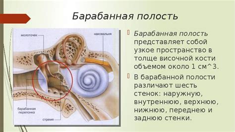 Патология среднего уха может быть причиной хлопота