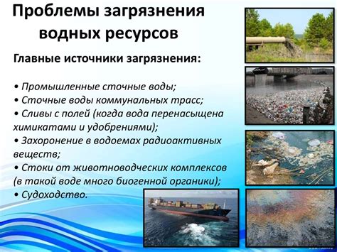 Первая проблема: загрязнение воды в террариуме