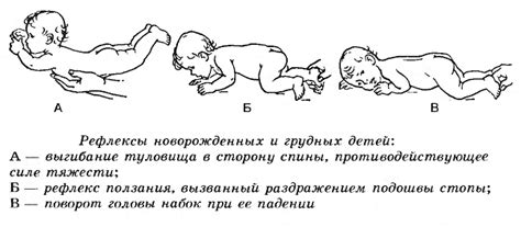 Первичные причины вздрагивания новорожденного