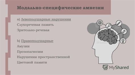 Первоначальные исследования эффекта амнезии на языковую память