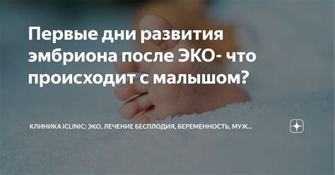 Первые шаги после ЭКО