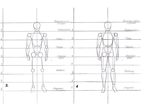 Первый шаг: схематический набросок тела человека и его основных пропорций