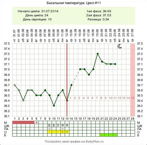 Первый шаг в определении овуляции: измерение базальной температуры