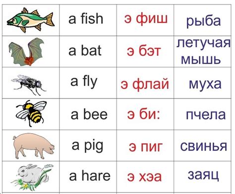 Перевод на английский язык слова "насекомые"