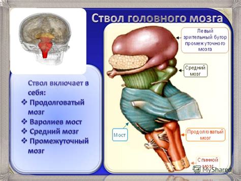 Перегрузка слуховых рецепторов