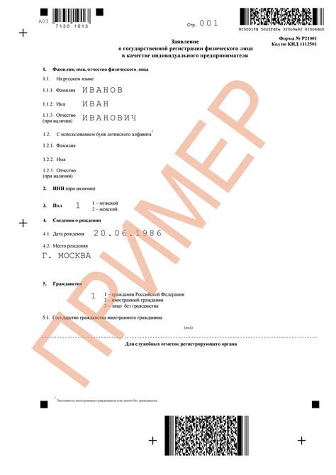 Передайте документы для проверки