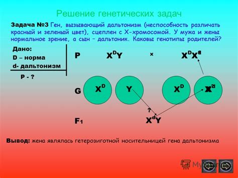 Передача генетических факторов и цвет панциря