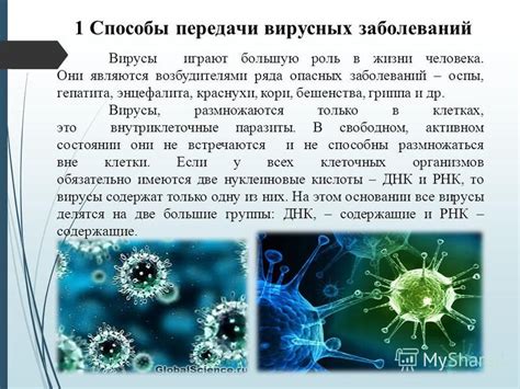 Передача и распространение вирусов