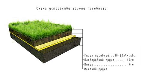 Переделка поверхности и устройство газона